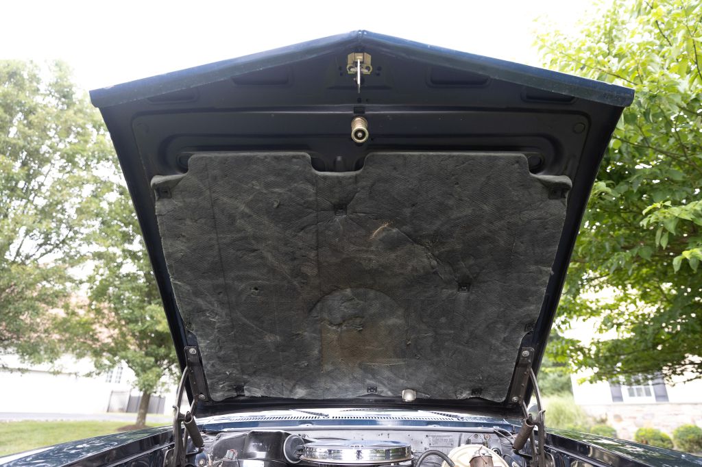 Photo 124 of this PONTIAC GTO