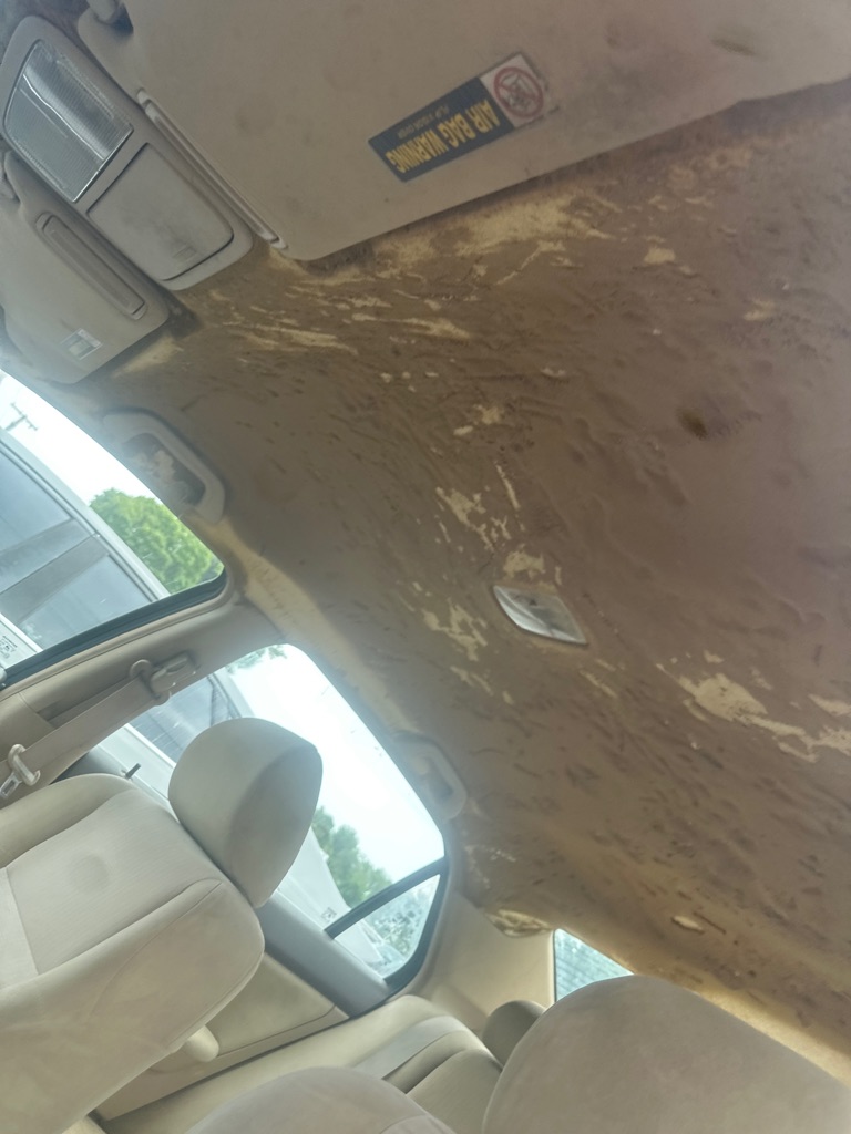 Photo 8 of this HONDA ACCORD