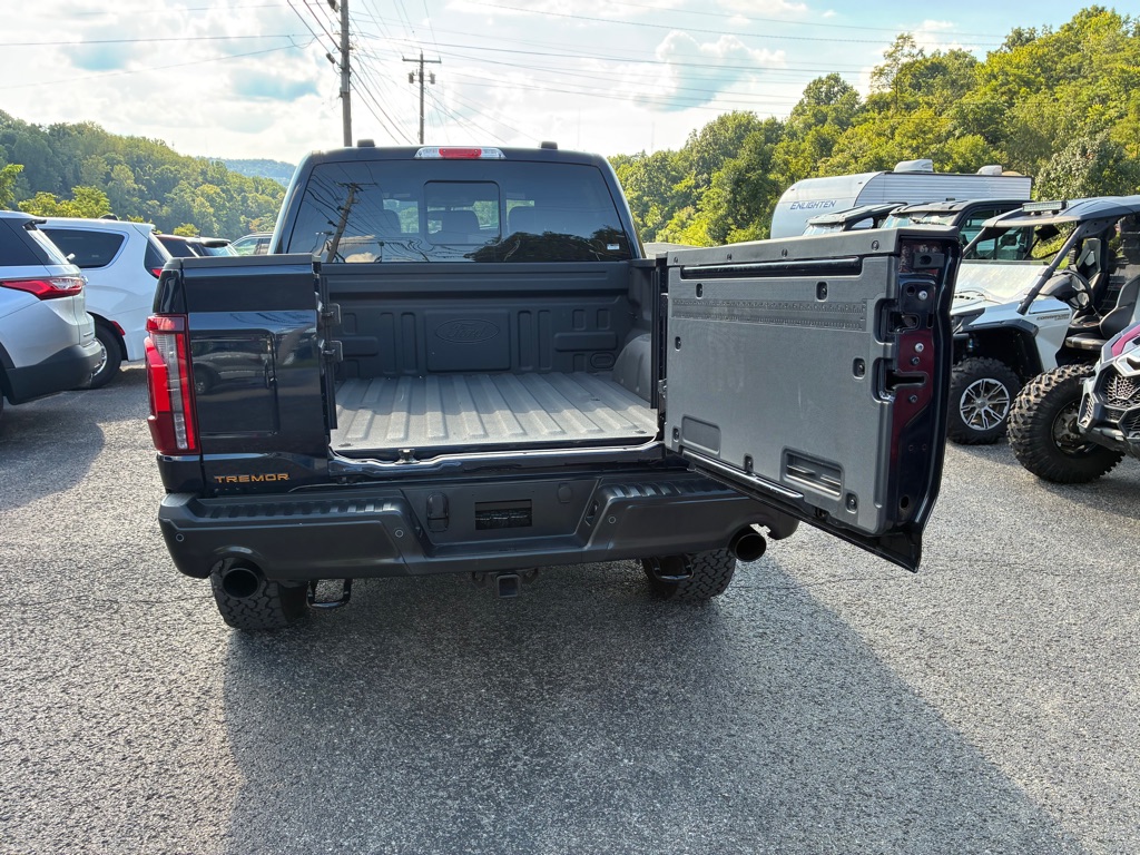 Photo 11 of this FORD F150