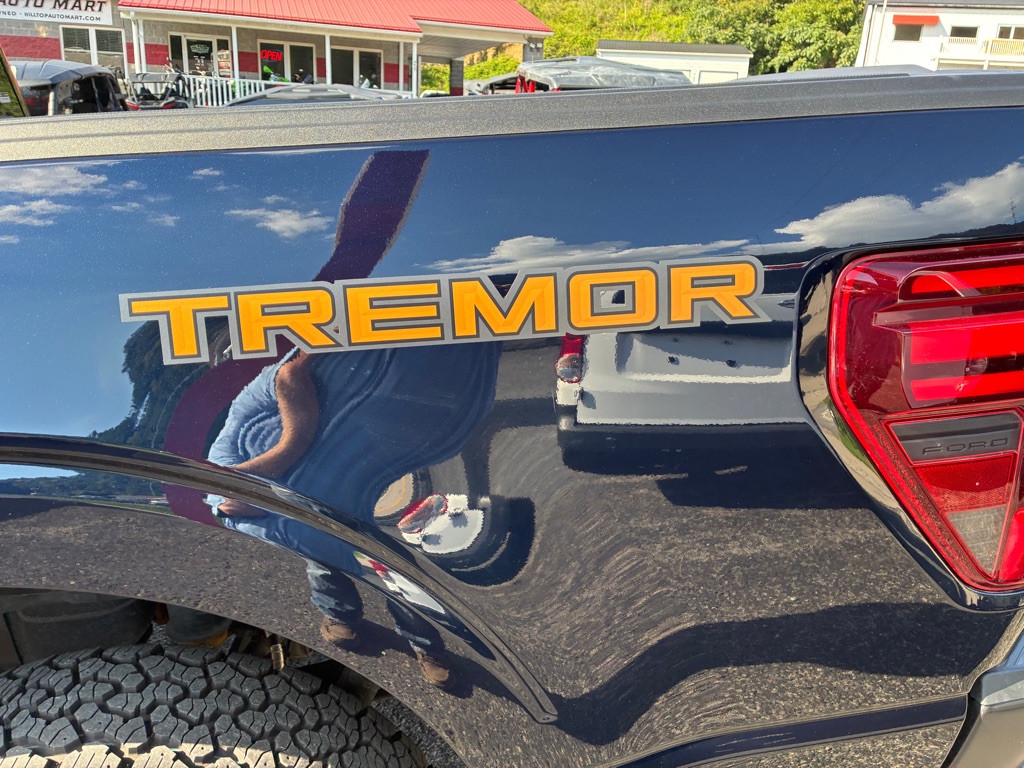 Photo 28 of this FORD F150