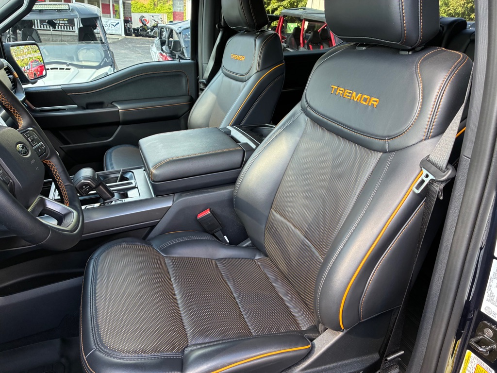 Photo 30 of this FORD F150