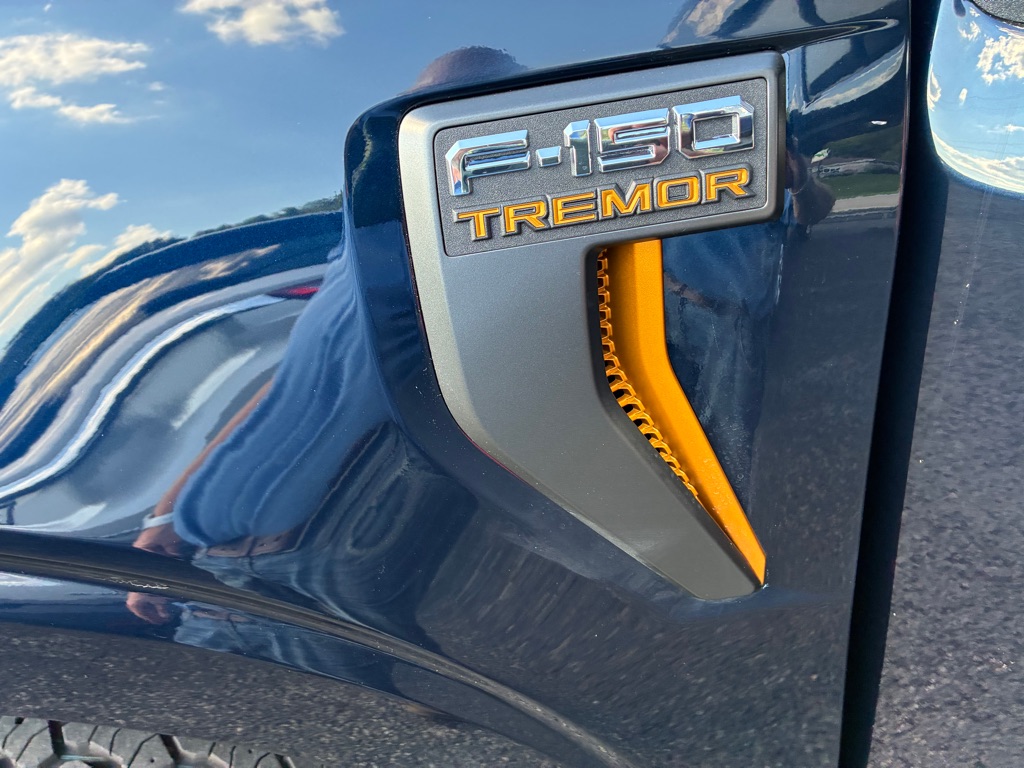 Photo 73 of this FORD F150