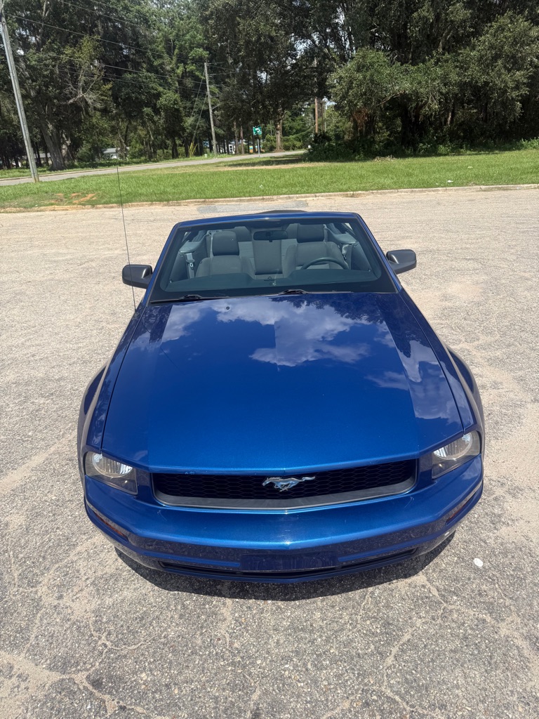 Photo 6 of this FORD MUSTANG