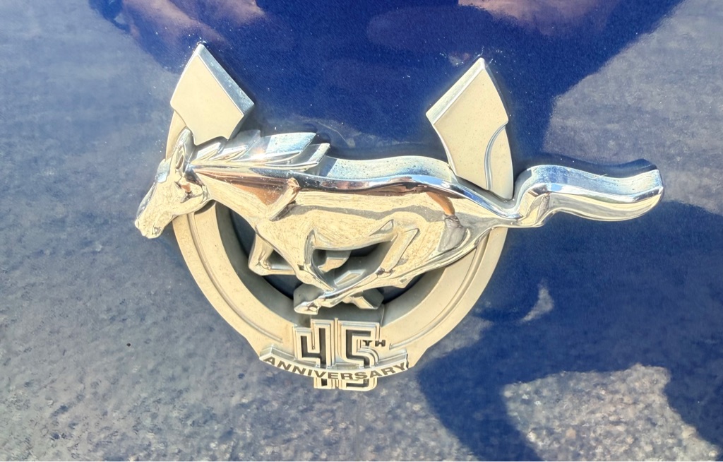 Photo 20 of this FORD MUSTANG