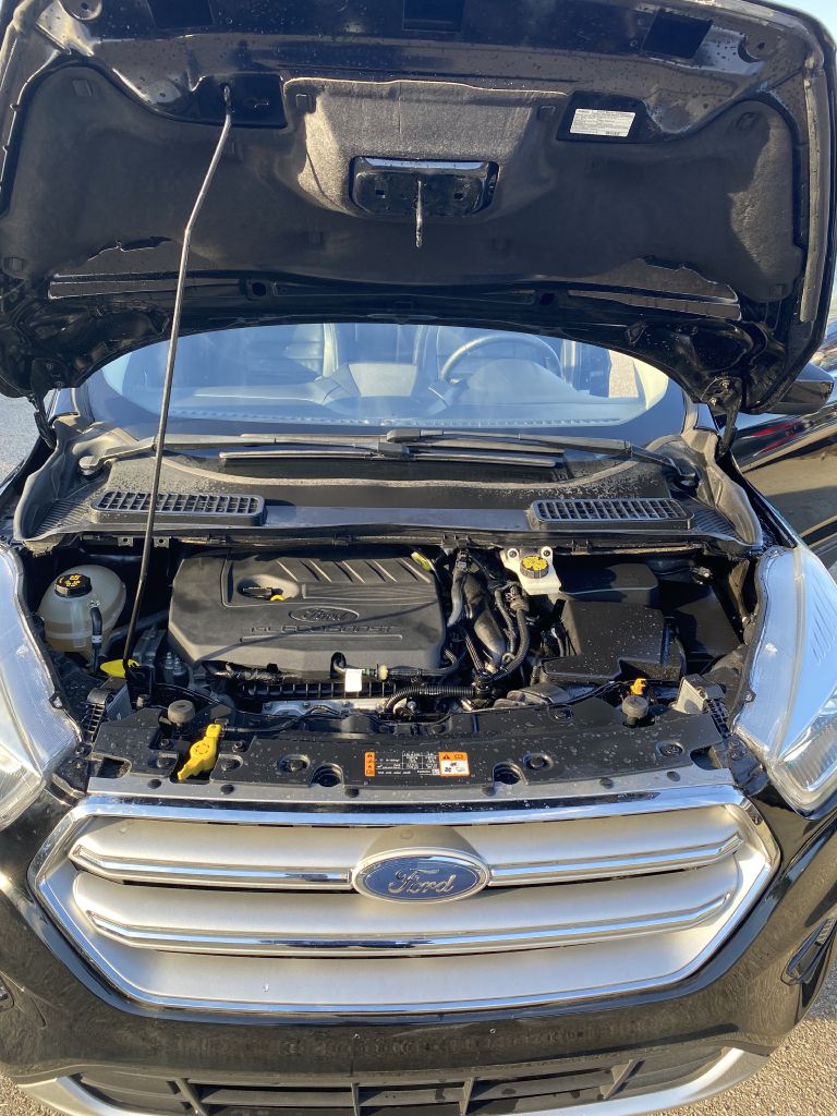 Photo 21 of this FORD ESCAPE