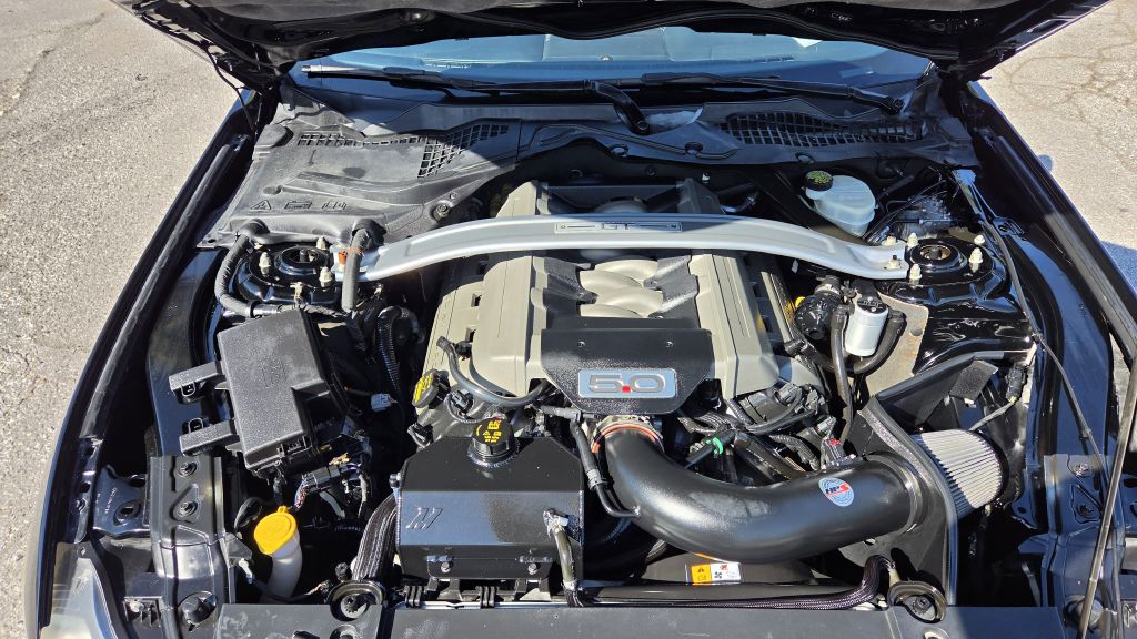 Photo 11 of this FORD MUSTANG