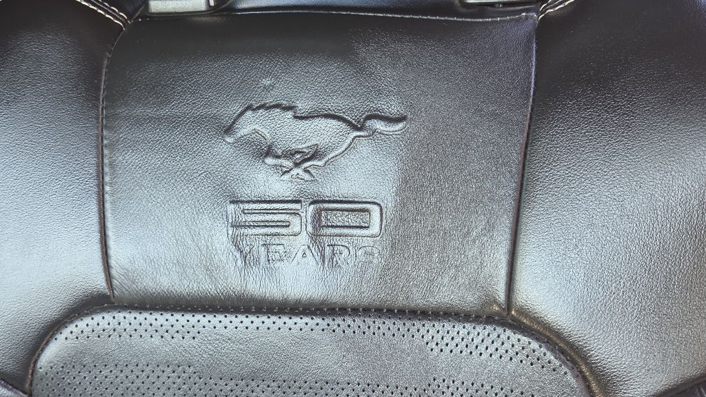 Photo 17 of this FORD MUSTANG