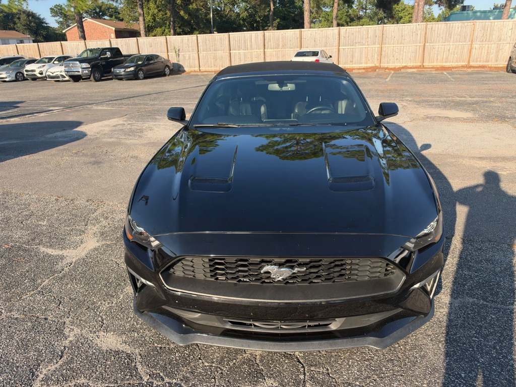 Photo 2 of this FORD MUSTANG