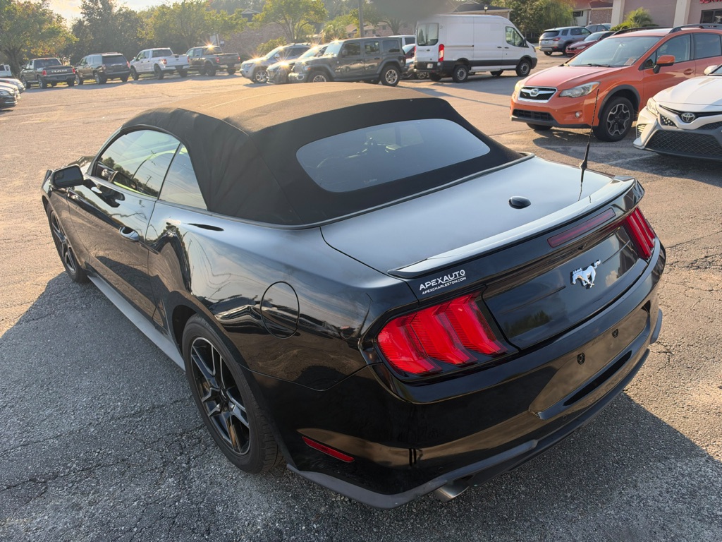 Photo 19 of this FORD MUSTANG
