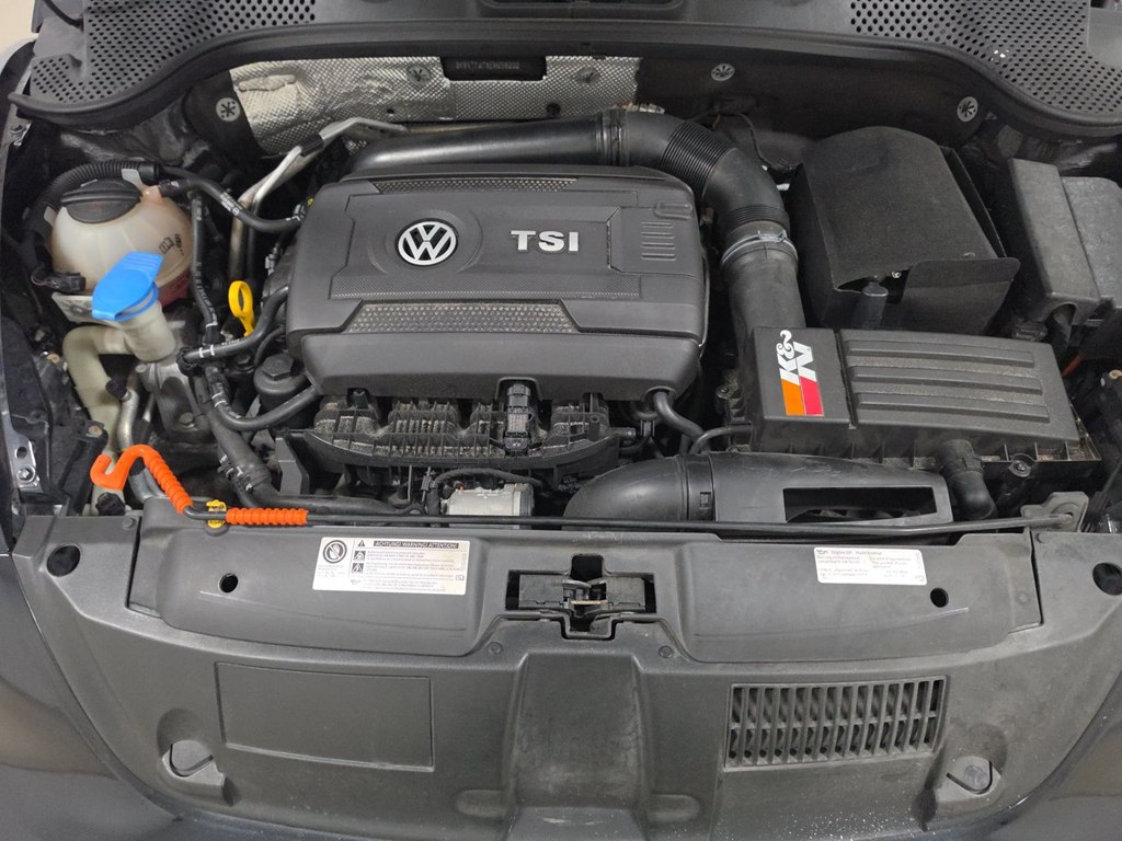 Photo 12 of this VOLKSWAGEN BEETLE