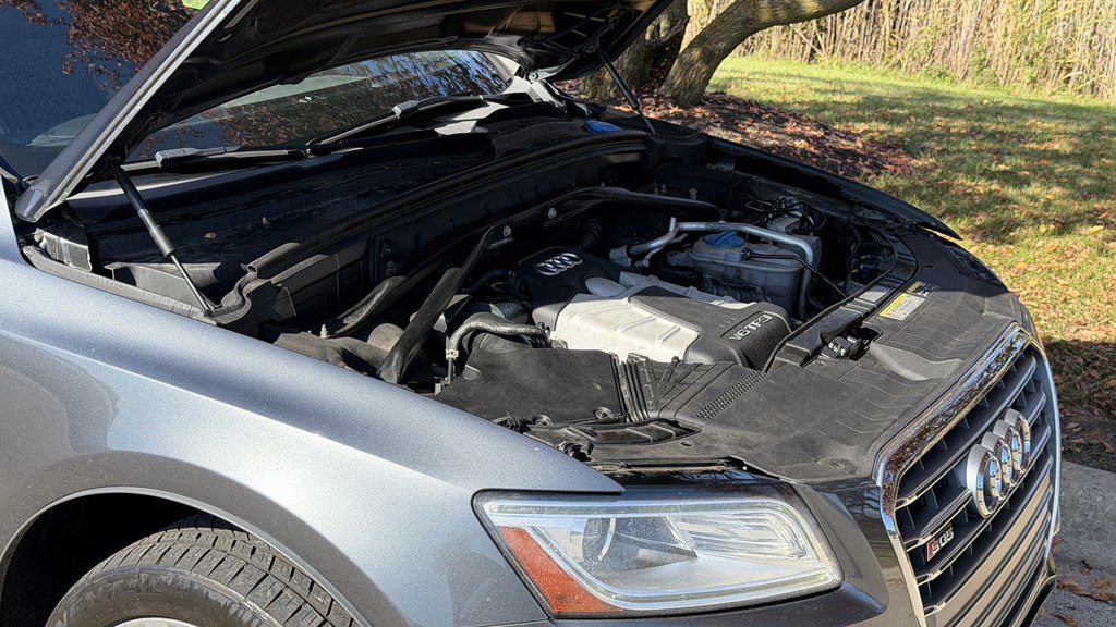 Photo 23 of this AUDI SQ5