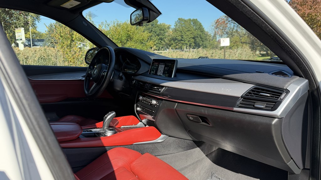 Photo 50 of this BMW X6