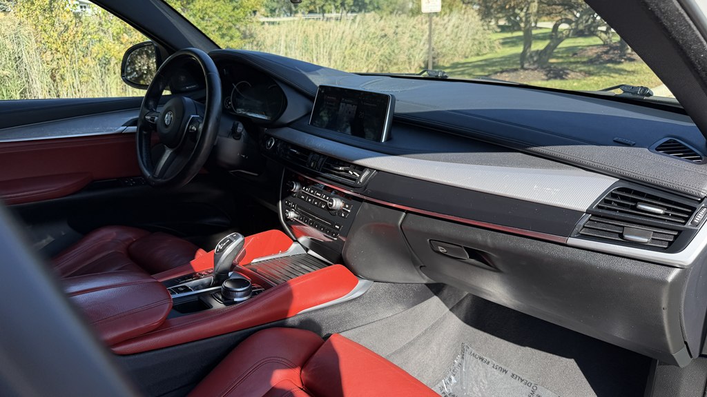 Photo 48 of this BMW X6
