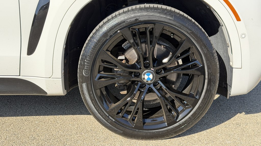 Photo 20 of this BMW X6