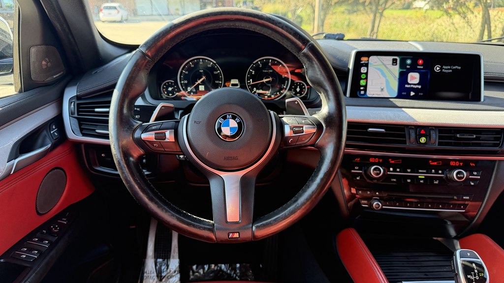 Photo 29 of this BMW X6