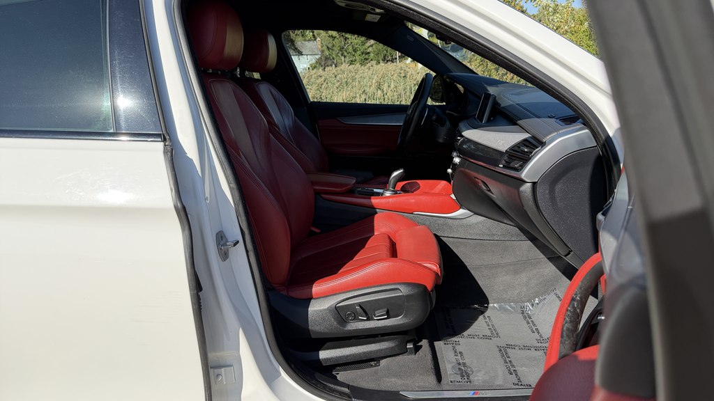 Photo 49 of this BMW X6
