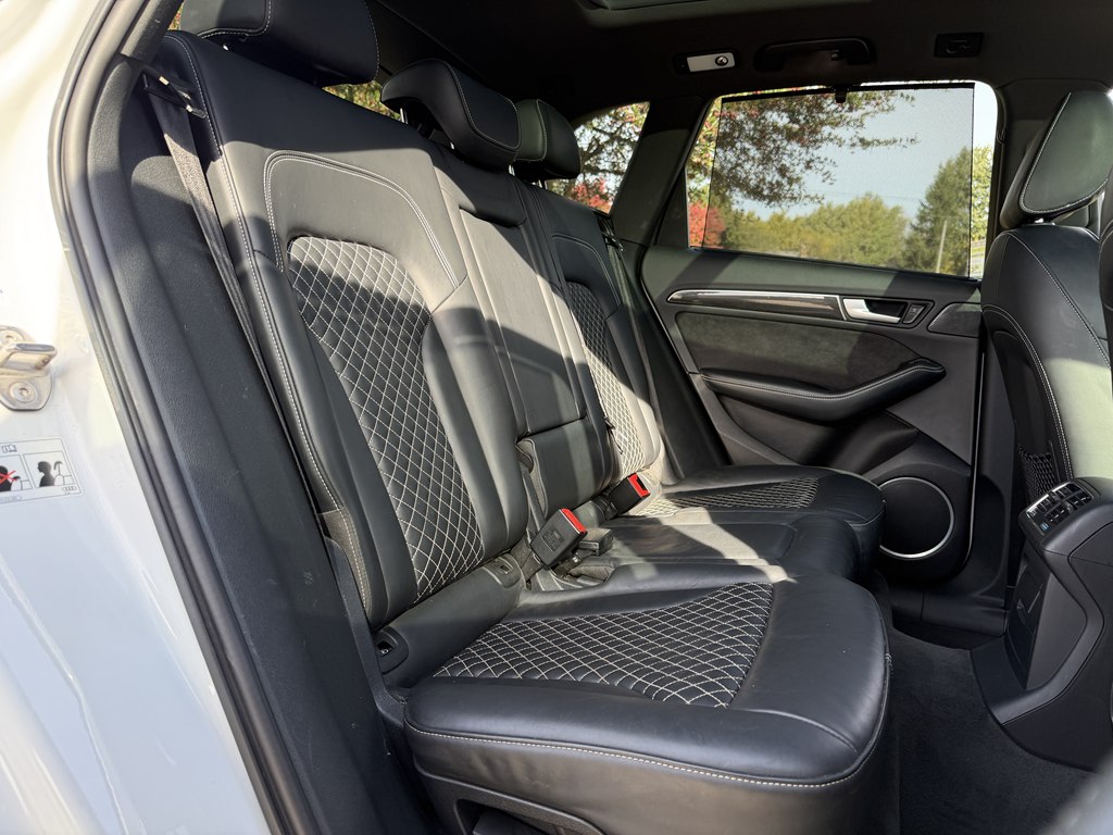 Photo 41 of this AUDI SQ5