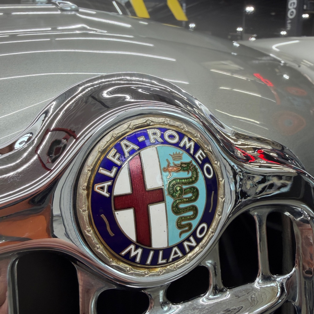 Photo 22 of this ALFA ROMEO 1900