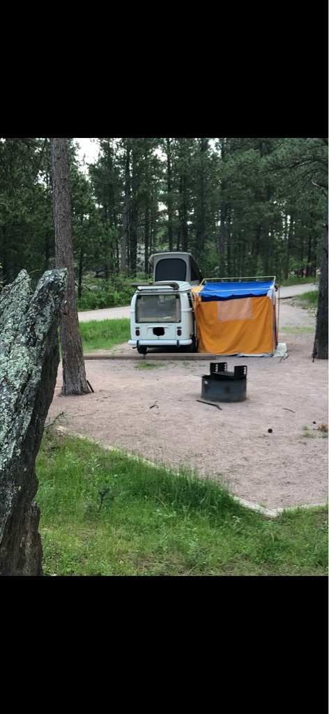 Photo 52 of this VOLKSWAGEN WESTFALIA