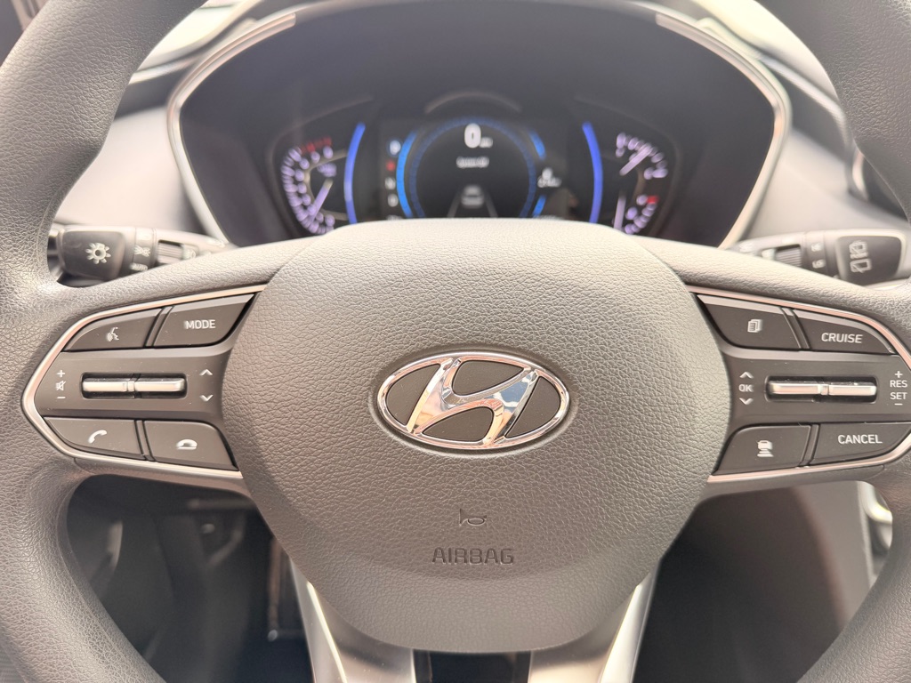 Photo 23 of this HYUNDAI SANTA FE