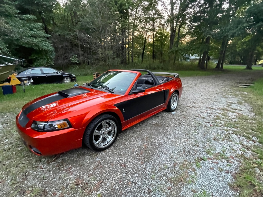 Photo 7 of this FORD MUSTANG
