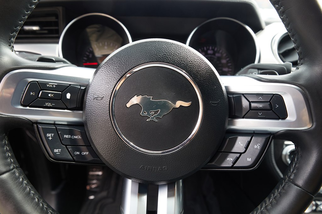 Photo 13 of this FORD MUSTANG