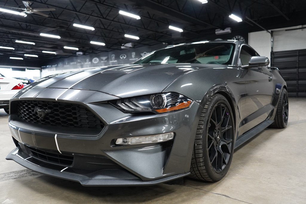 Gray 2019 Ford Mustang Coupe Rear-Wheel Drive
