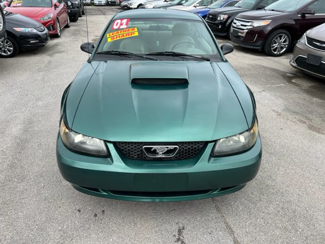 Photo 3 of this FORD MUSTANG  GT