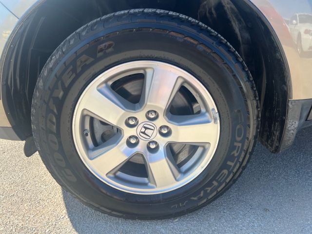 HONDA PILOT 2011 HONDA PILOT 5FNYF3H55BB029856