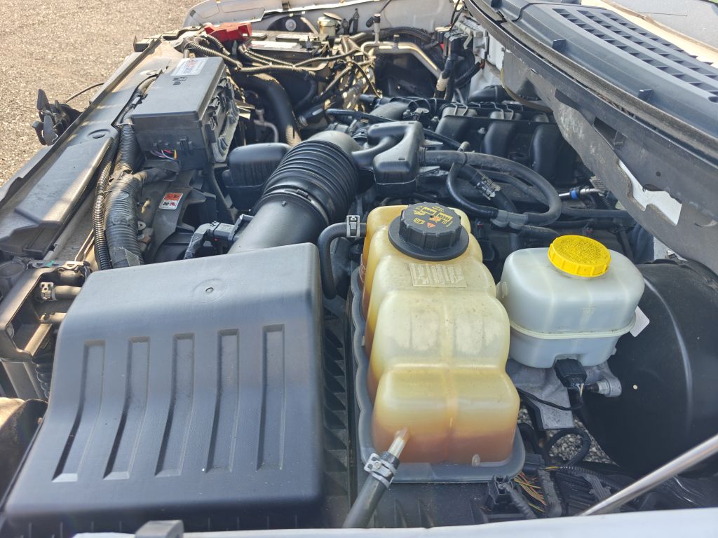 Photo 28 of this FORD F150 XL REG