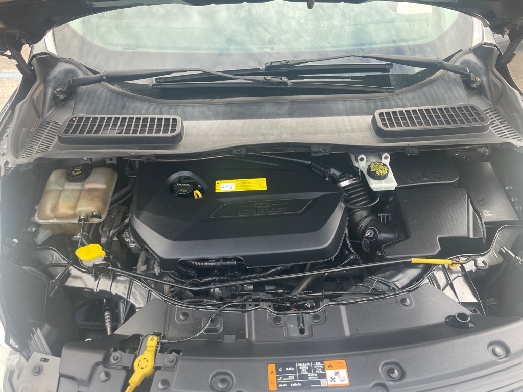 Photo 12 of this FORD ESCAPE
