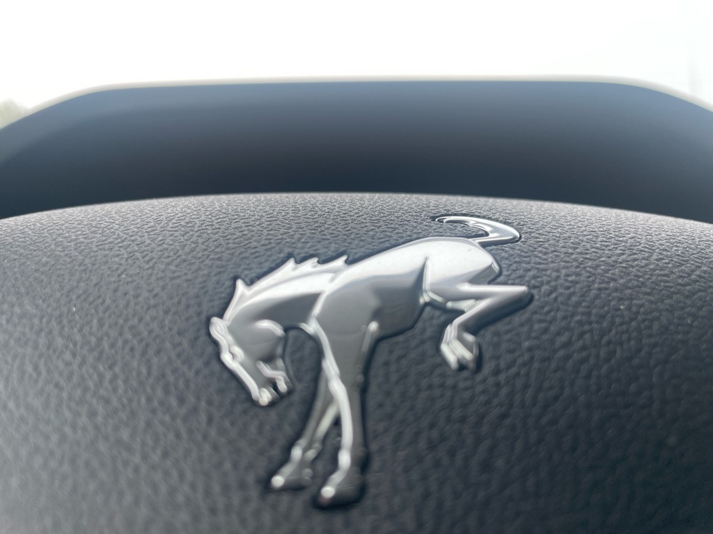 Photo 25 of this FORD BRONCO SPORT