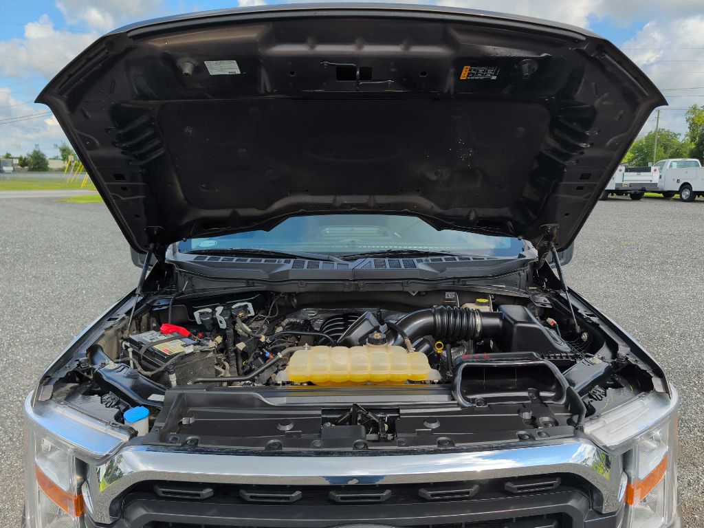Photo 25 of this FORD F-150