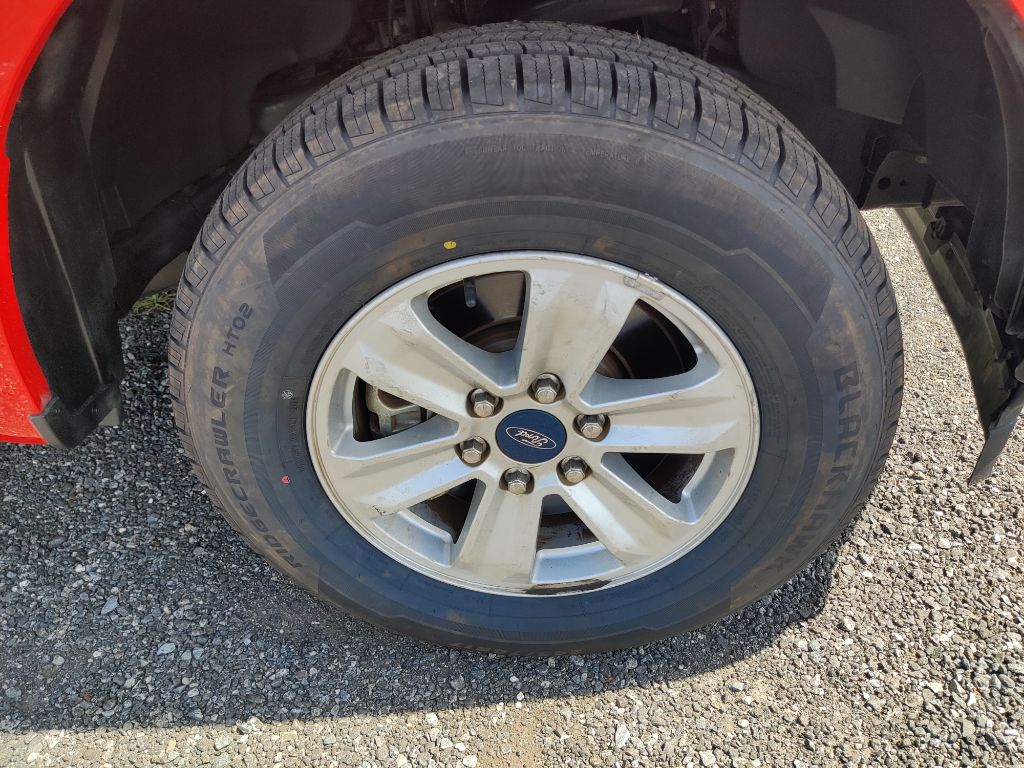Photo 29 of this FORD F150 XL REG