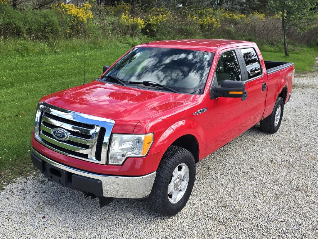 2010 FORD F150