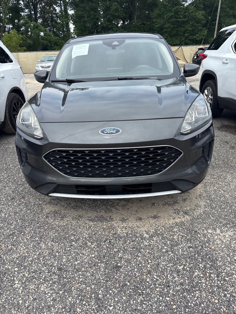2020 Ford Escape SE FWD's photo