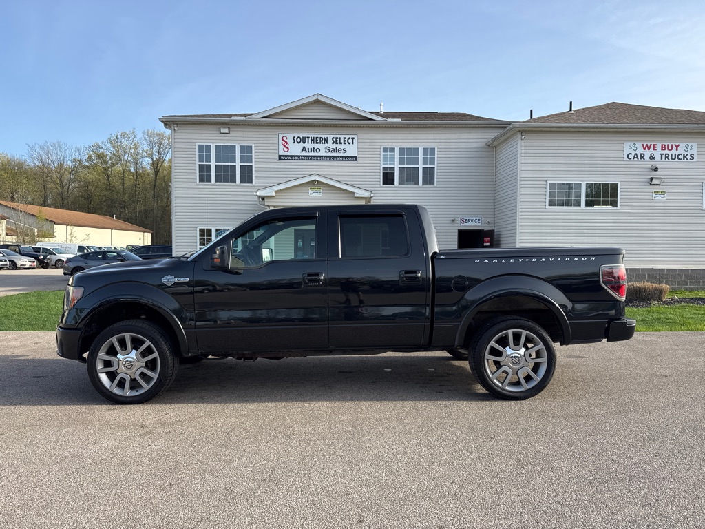 2010 Ford F-150 photo 2