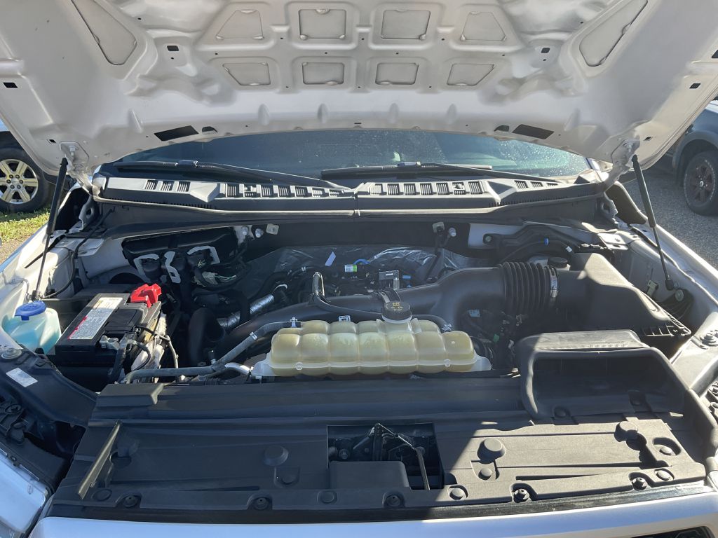 Photo 31 of this FORD F150
