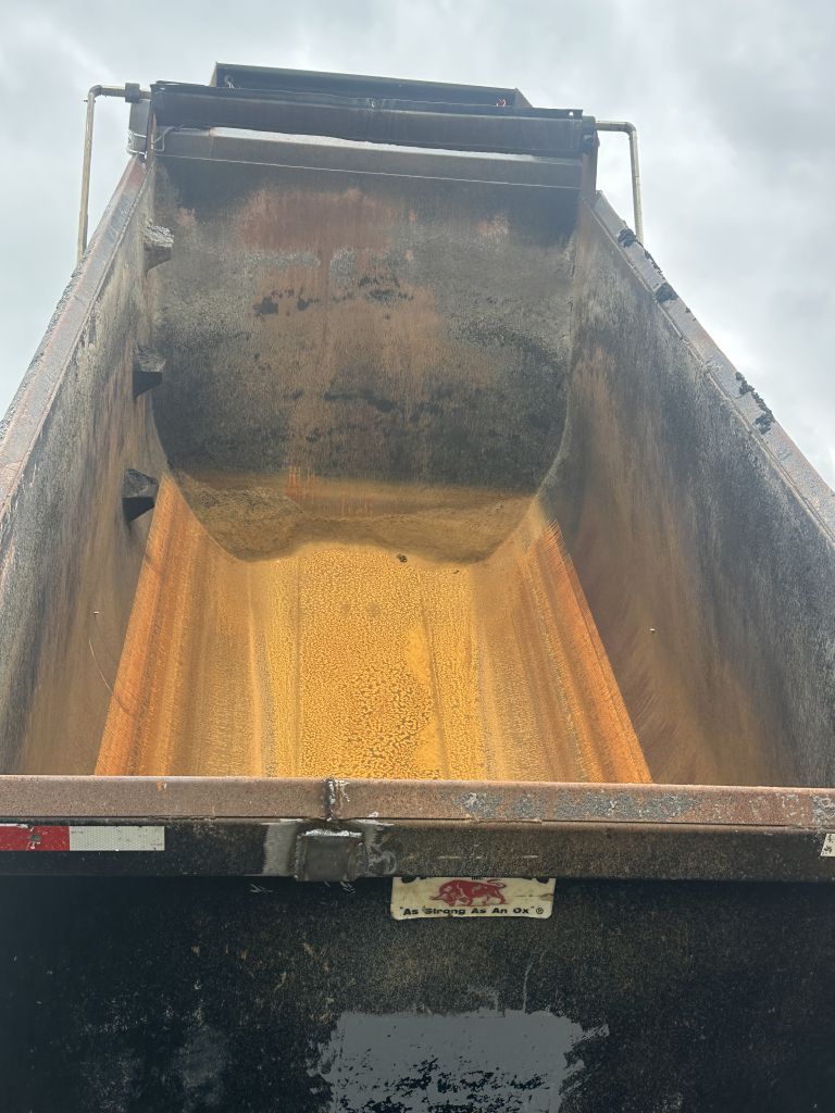 Photo 11 of this KENWORTH T880