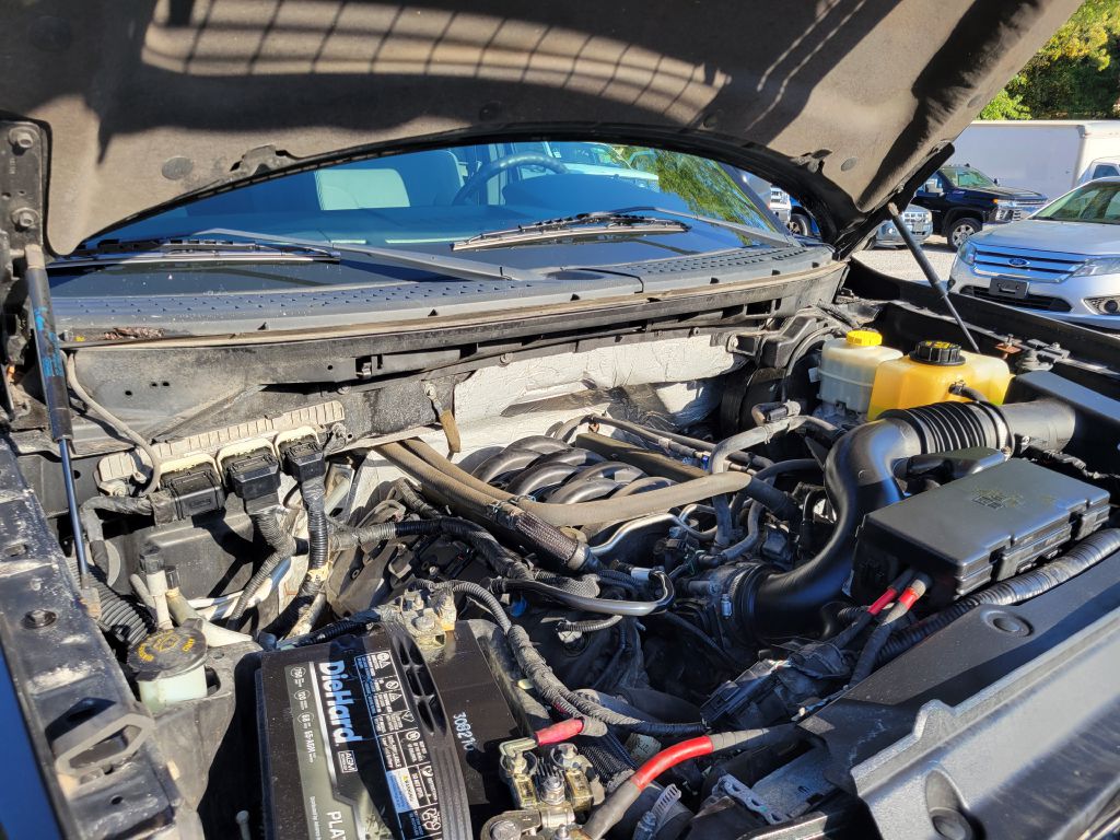2014 Ford F-150 photo 11
