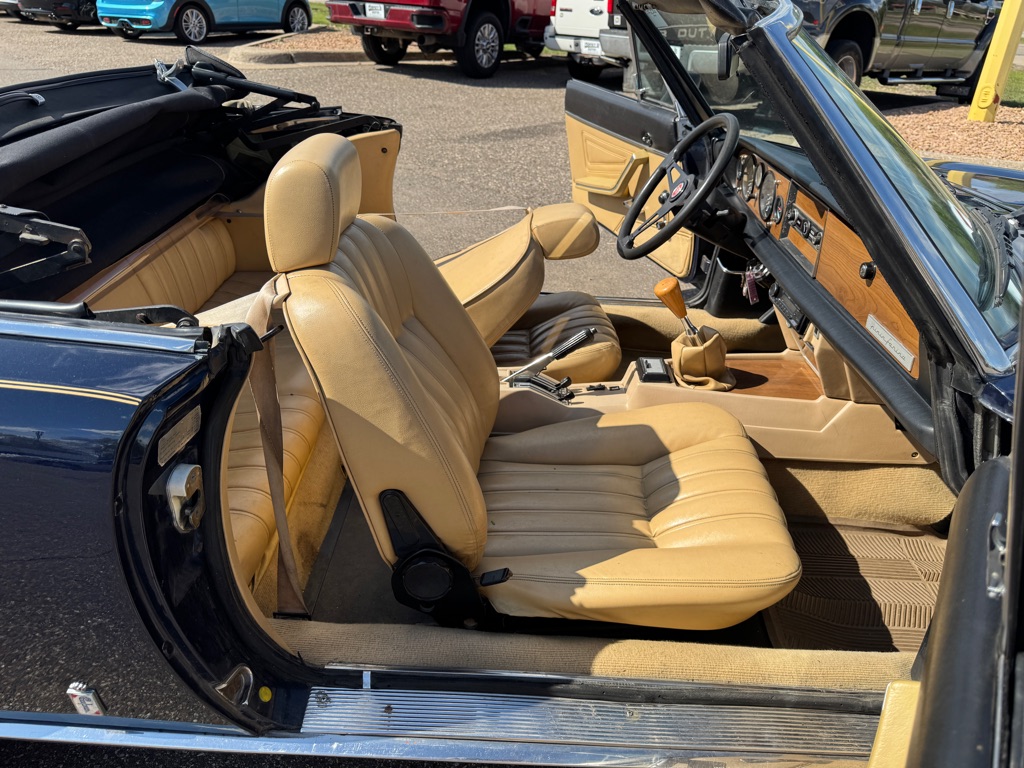 Photo 43 of this FIAT SPIDER