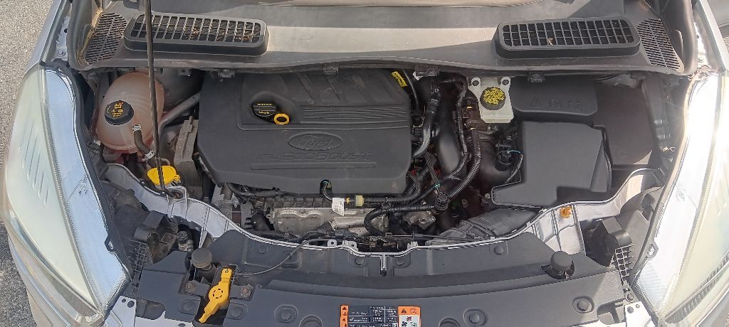 Photo 14 of this FORD ESCAPE