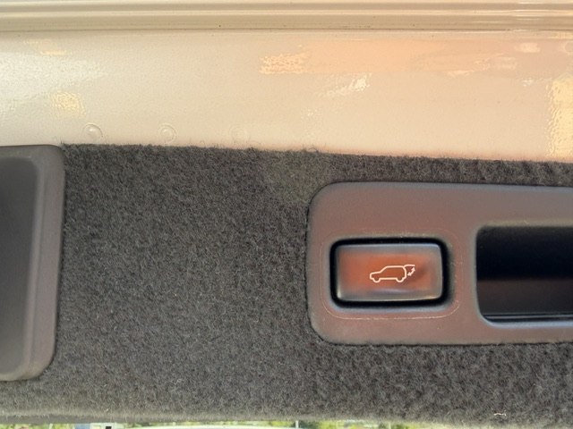Photo 14 of this LEXUS RX