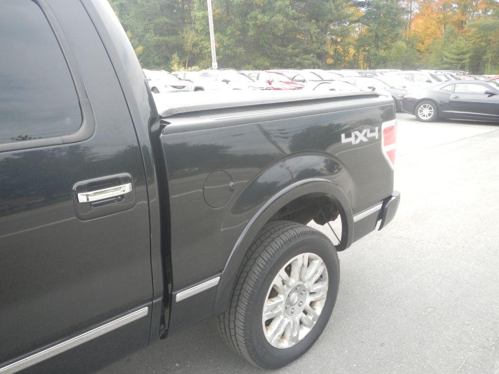 Photo 41 of this FORD F150 PLATINUM
