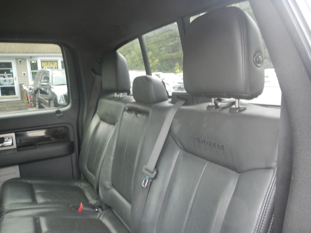 Photo 46 of this FORD F150 PLATINUM
