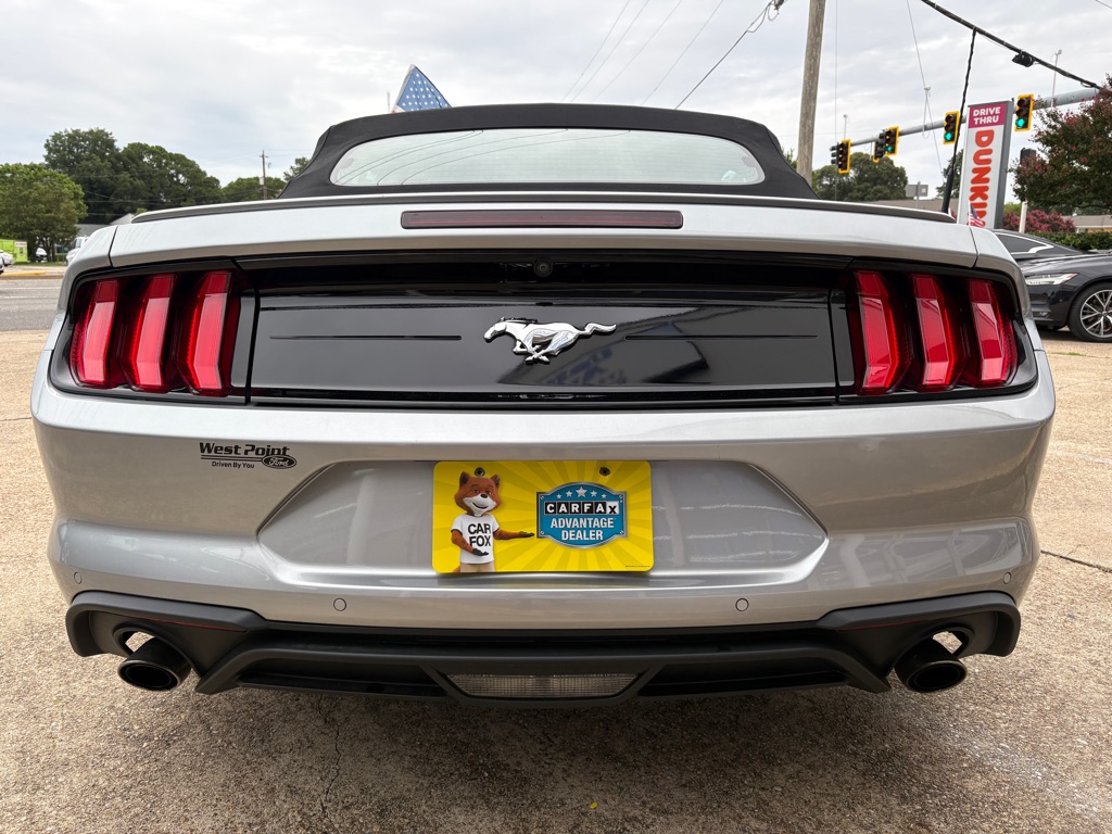 Photo 8 of this FORD MUSTANG