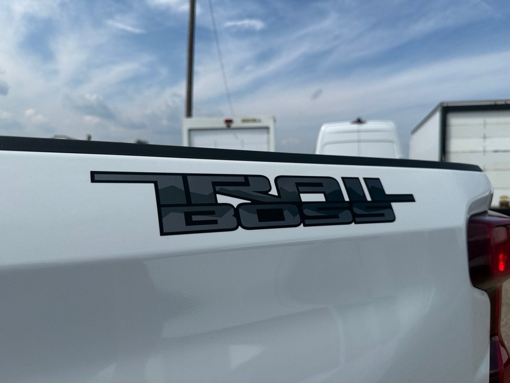 Photo 46 of this CHEVROLET SILVERADO 1500