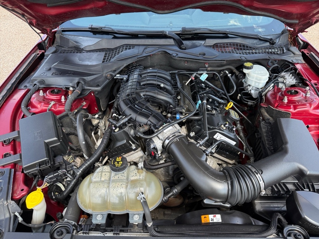 Photo 34 of this FORD MUSTANG