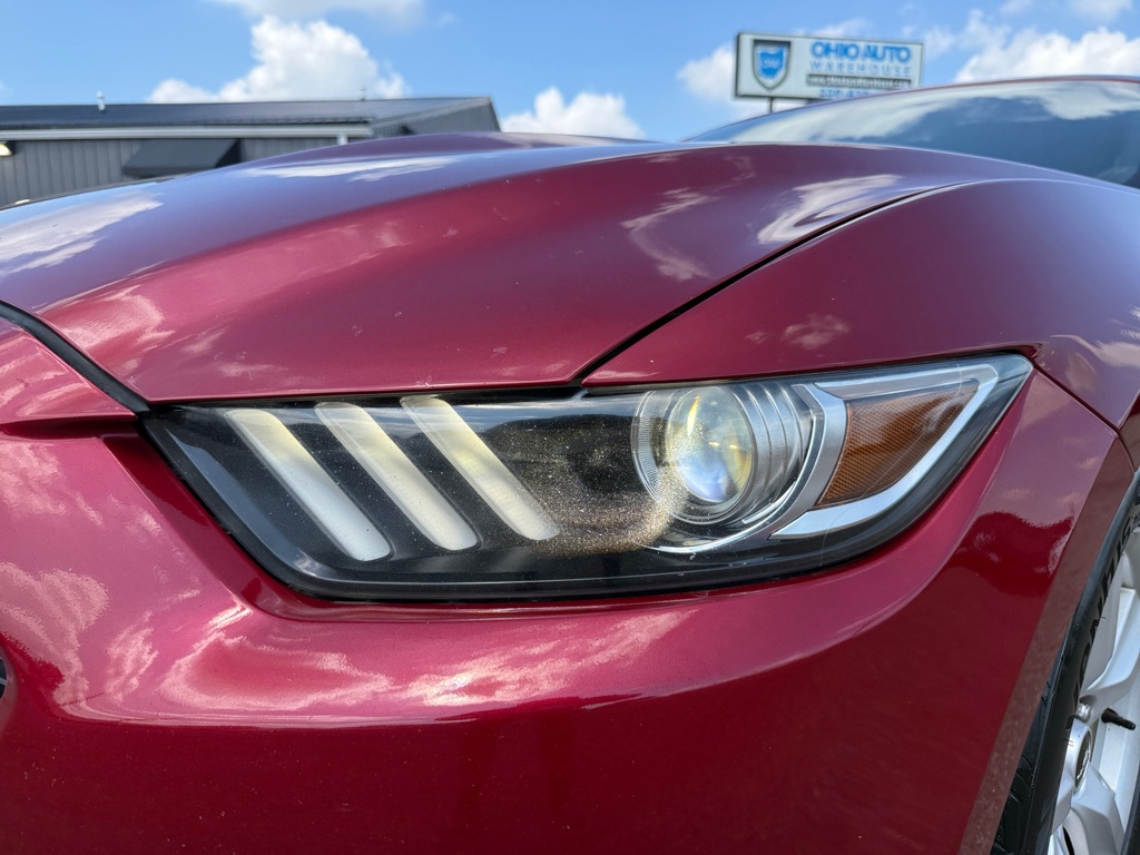 Photo 23 of this FORD MUSTANG