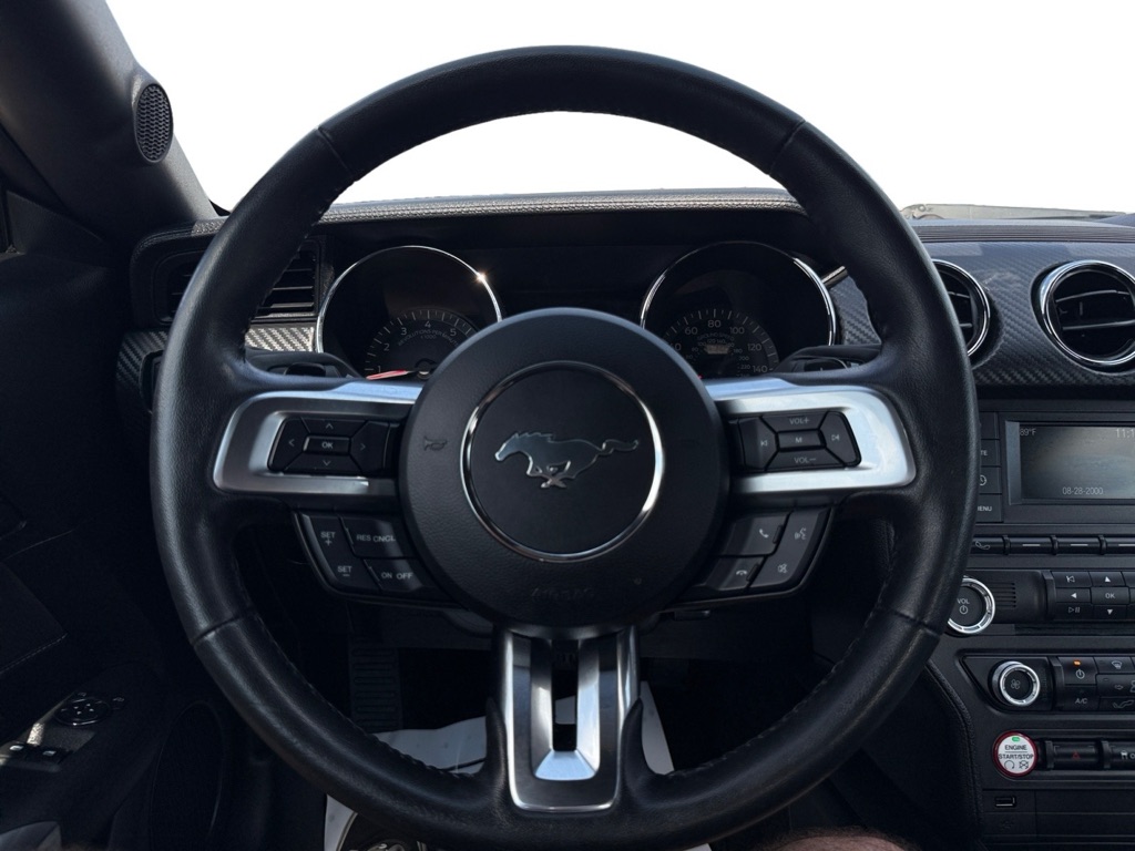 Photo 16 of this FORD MUSTANG